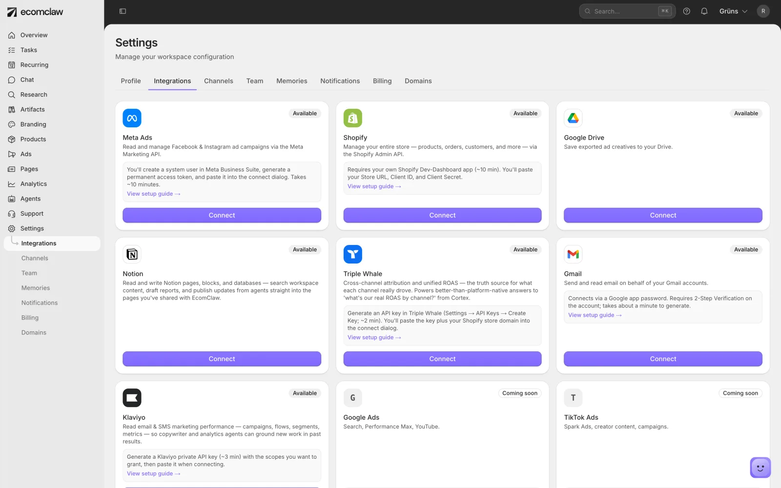 EcomClaw integrations page listing Meta Ads, Shopify, Google Drive, Notion, Triple Whale, Gmail and Klaviyo.