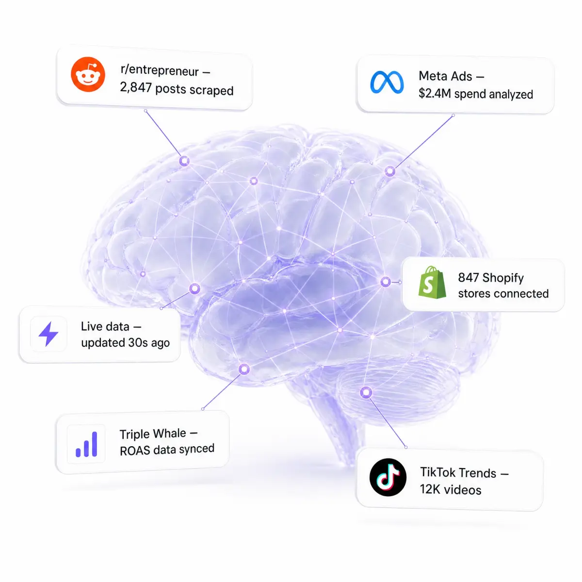 Connected e-commerce data sources feeding an EcomClaw intelligence system.